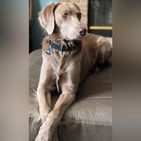 Next live 11/25/25 guest CO HOST W/ @MAF123 - Picture 6 of 16